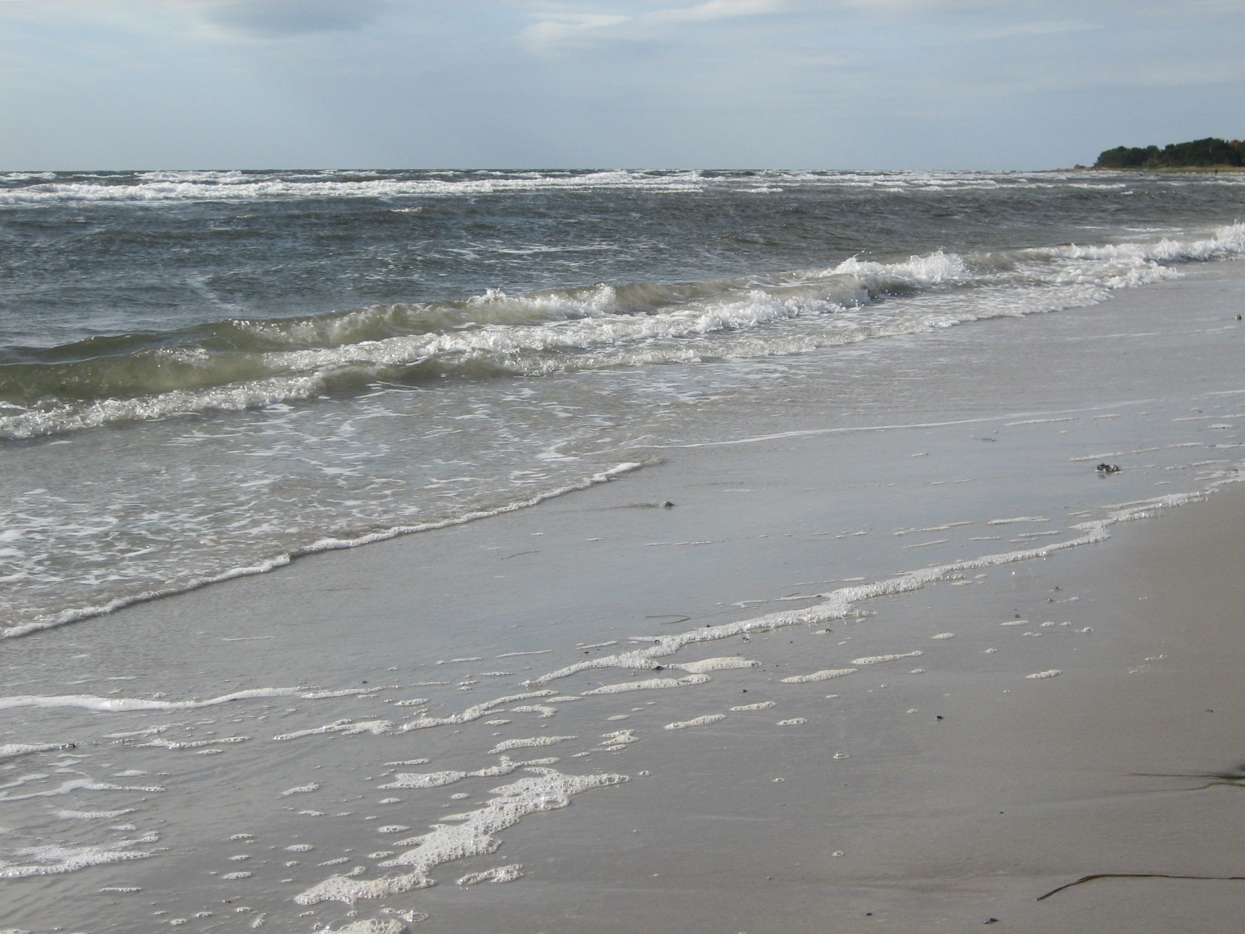 Havet vid Böste och strandlinjen