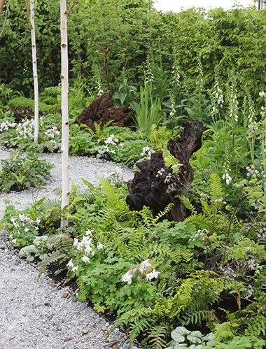 trädgårdstrender 2019, moving with nature