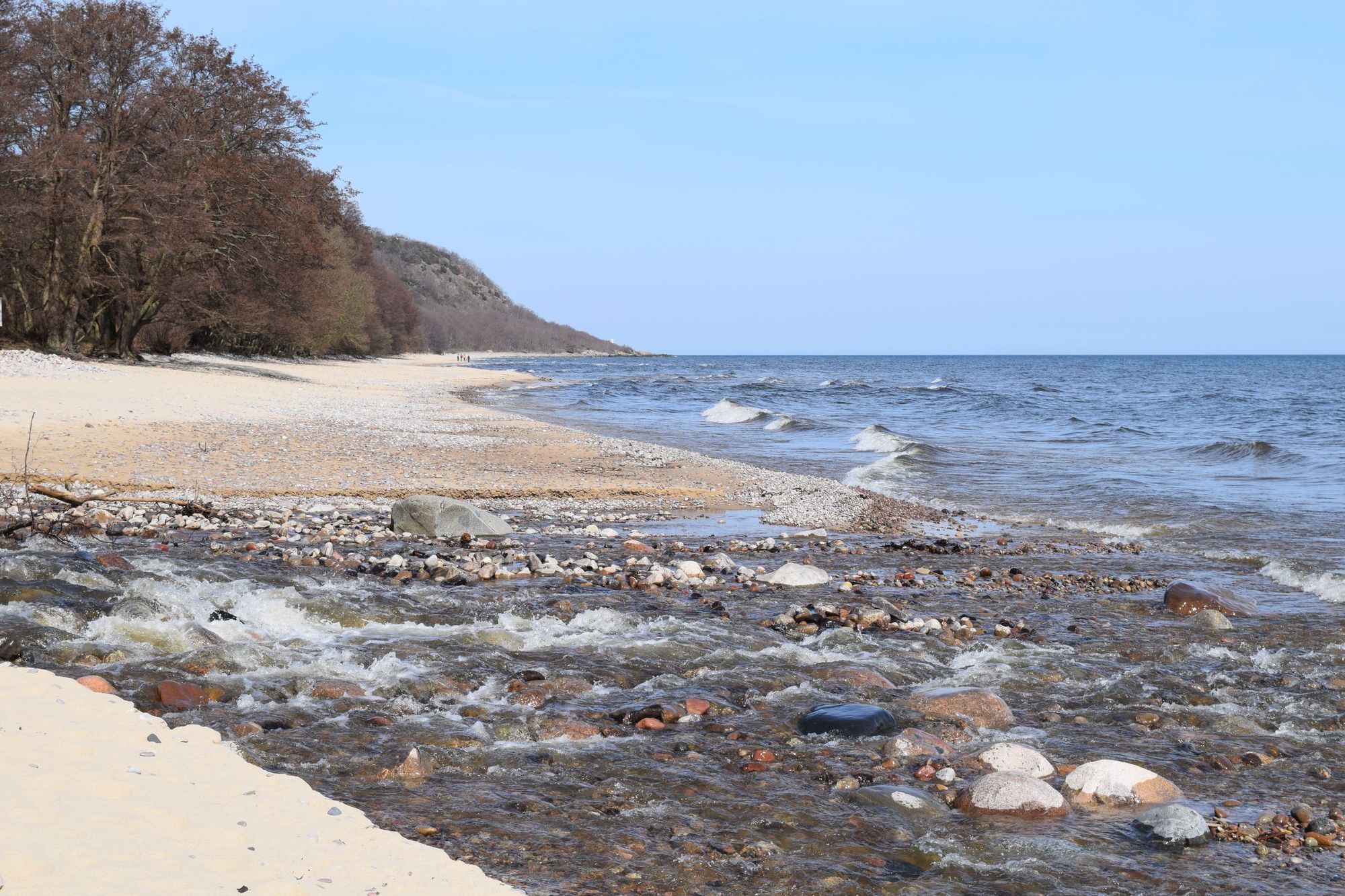 Stranden söder om Stenshuvud