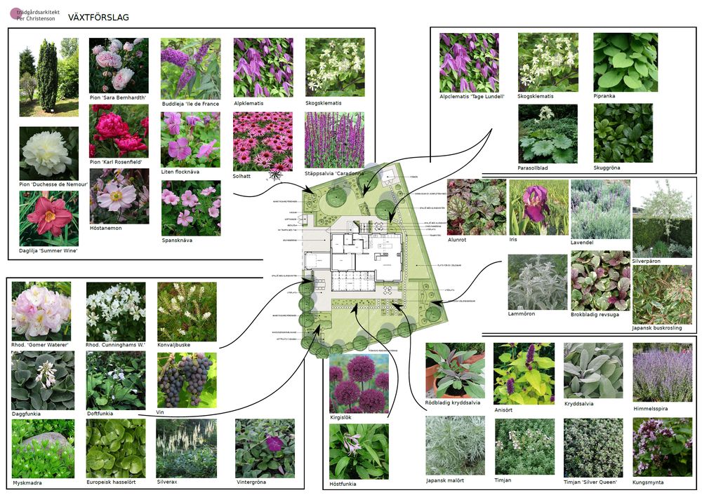 trädgårdsdesign växtförslag
