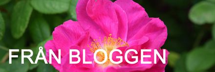 från bloggen