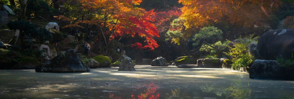 Japanska trädgårdar